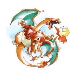 charizard from pokemon