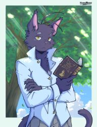 shin kuroi from morenatsu