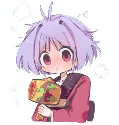 sukuna shinmyoumaru from touhou