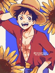 monkey d. luffy from one piece