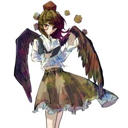 shameimaru aya from touhou