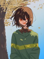 kris (deltarune) from deltarune