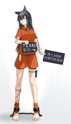texas (arknights) from arknights