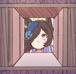 rice shower (umamusume) from umamusume by rakugakiraid