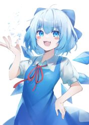 cirno from touhou