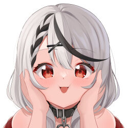 sakamata chloe from hololive