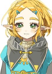 princess zelda from the legend of zelda by didi en ilu