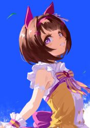 nishino flower (umamusume) from umamusume by inishie kumo