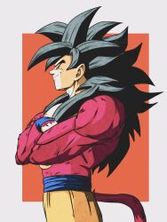 son goku from dragon ball