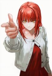 makima (chainsaw man) from chainsaw man