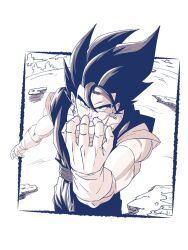 vegetto from dragon ball