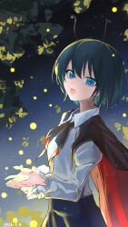 wriggle nightbug from touhou