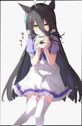 manhattan cafe (umamusume) from umamusume