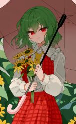 kazami yuuka from touhou