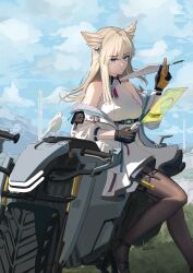 perlica (arknights) from arknights