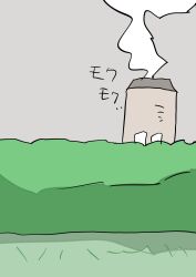 gold ship (racehorse) from real life
