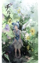 cirno from touhou