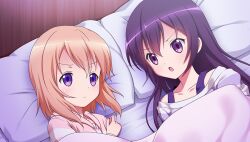 hoto cocoa from gochuumon wa usagi desu ka?