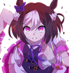 special week (umamusume) from umamusume