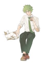 midoriya izuku from boku no hero academia