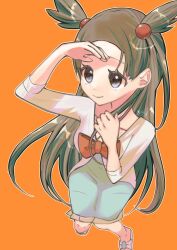 jasmine (pokemon) from pokemon