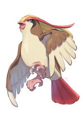 pidgeot from pokemon