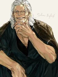 silvers rayleigh from one piece