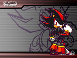shadow the hedgehog from sonic (series)