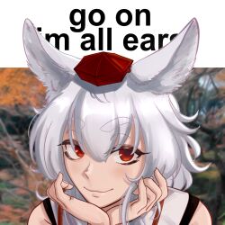 inubashiri momiji from touhou