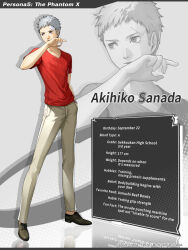sanada akihiko from persona