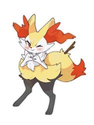 braixen from pokemon