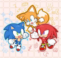 knuckles the echidna from sonic (series)