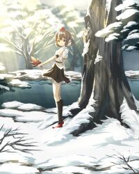 shameimaru aya from touhou