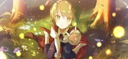 wriggle nightbug from touhou