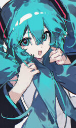 hatsune miku from vocaloid