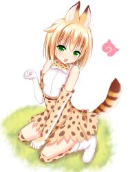 serval (kemono friends) from kemono friends