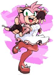 amy rose from guilty gear