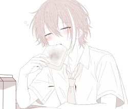 kamishiro rui from project sekai