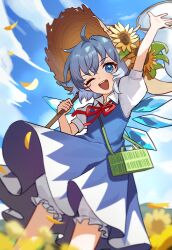 cirno from touhou