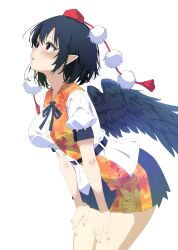 shameimaru aya from touhou