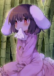 inaba tewi from touhou