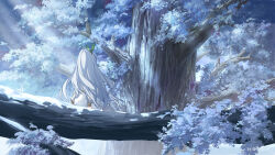 rukkhadevata (genshin impact) from genshin impact