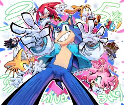 amy rose from sonic (series)