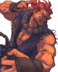 akuma (street fighter) from street fighter