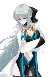 morgan le fay (fate) from fate/grand order