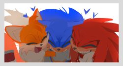 knuckles the echidna from sonic (series)
