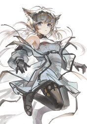 perlica (arknights) from arknights