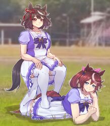 tokai teio (umamusume) from umamusume