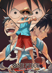 monkey d. luffy from one piece by otton
