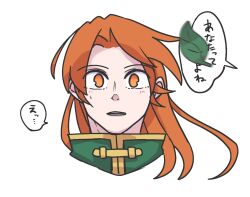 hong meiling from touhou
